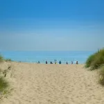 Apartment Brume -residence La Dune Blanche -acces Piscine *